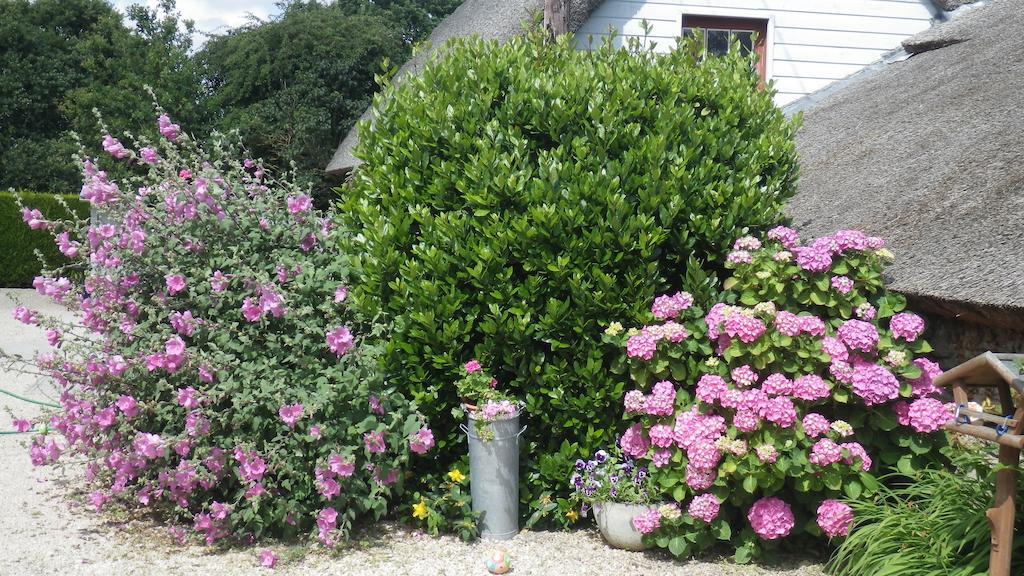 La Musardise Panzió Guérande Kültér fotó